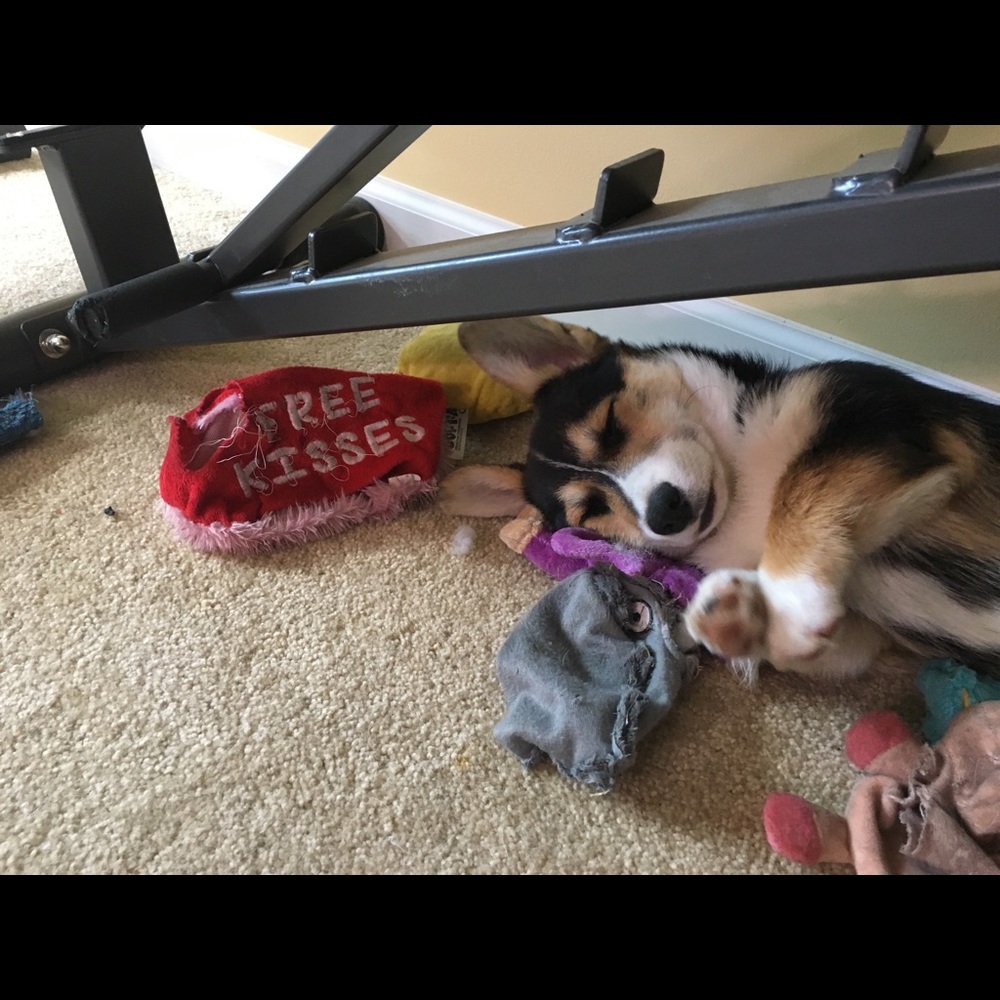 Meet your Posher, James